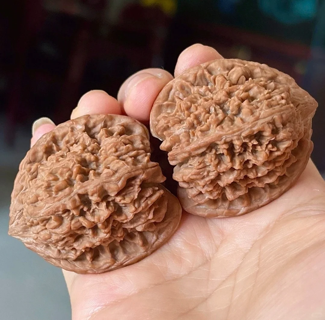 真正百花山老树原装果 ！