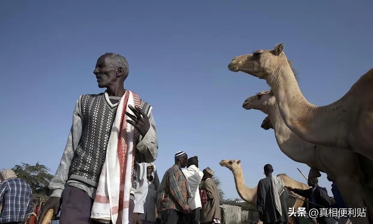 1978年，索马里沙漠一个13岁女孩被父亲以5头骆驼卖给60岁老人，当她赤脚逃出