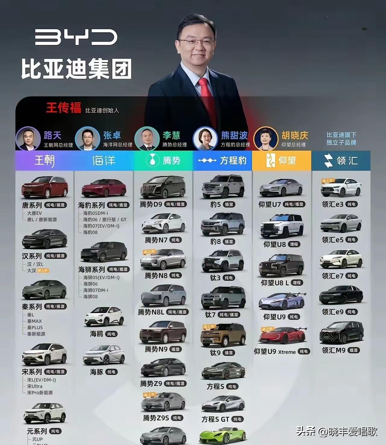比亚迪牛啊，这么多车系列，这么多车型，超过特斯拉指日可待啊，比亚迪有没有可能成为