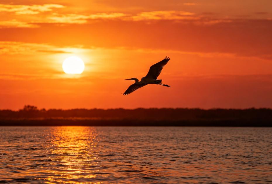 品读《山海经》548——《神州江湖》赣水
原文：
赣水出聂都东山，东北注江，入彭