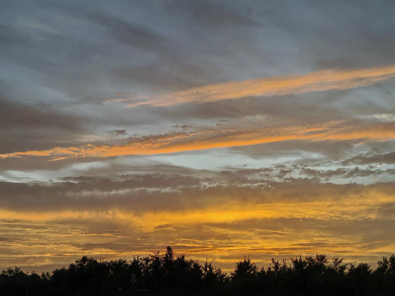 分享今天的随手拍！夕阳无限好，只是近黄昏