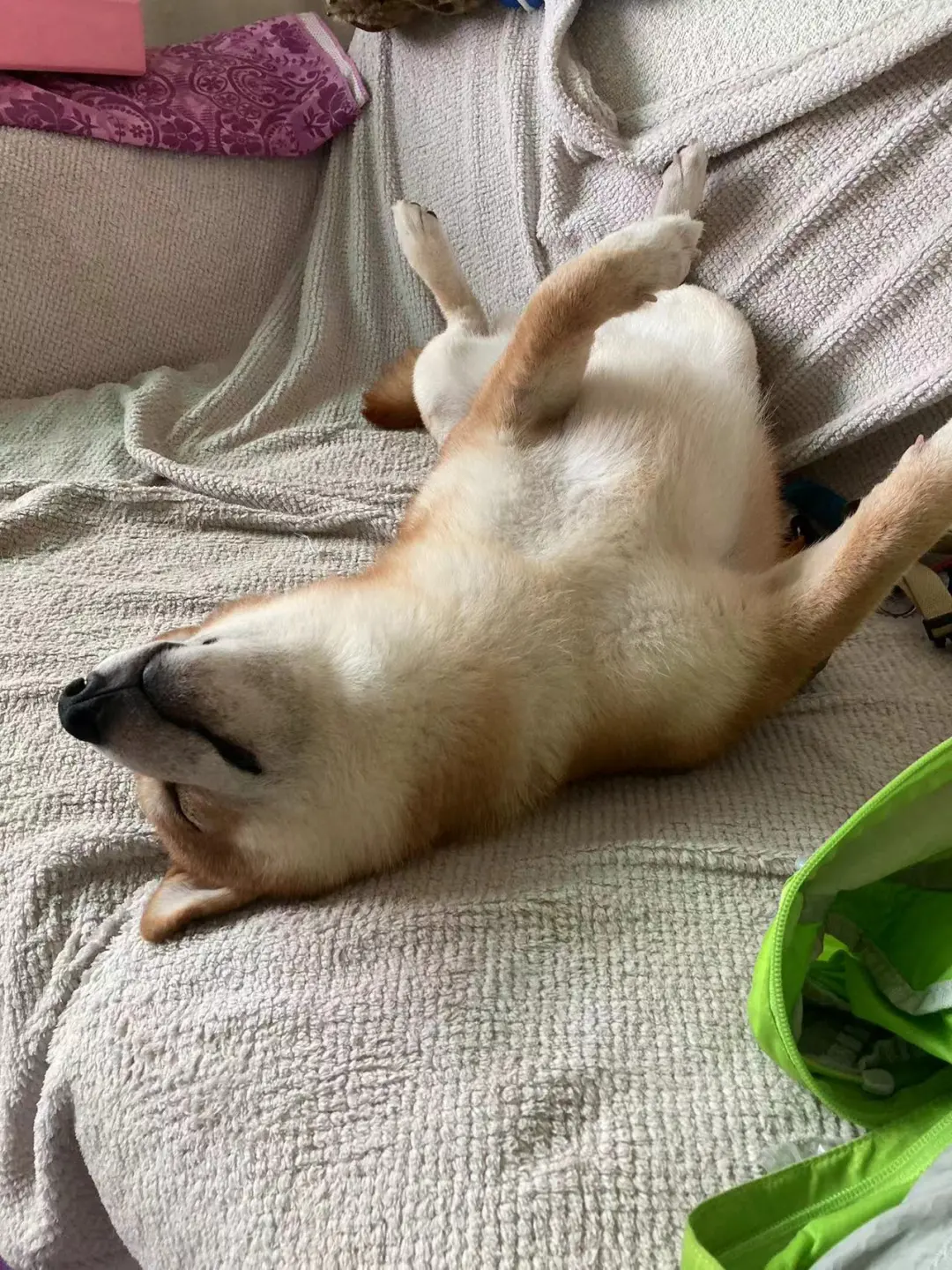 谁给他找个班上