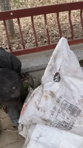 女子在路边看到一名拾荒为生的流浪老人。
她看老人挺不容易的，于是就把自己身上的零