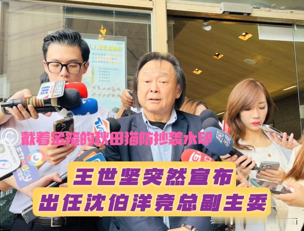 民进党下的什么棋？
突发！一直力挺蒋万安的王世坚，突然宣布出任沈伯洋竞总副主委，