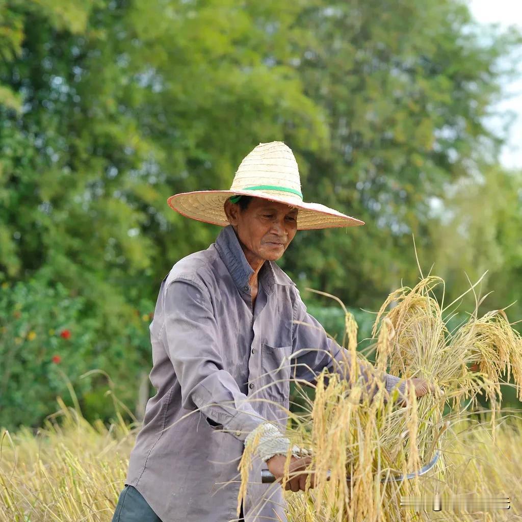 
民生在勤🌶️🥬🌿
民生问题是指百姓的基本生计问题，包括教育、就业、医疗、