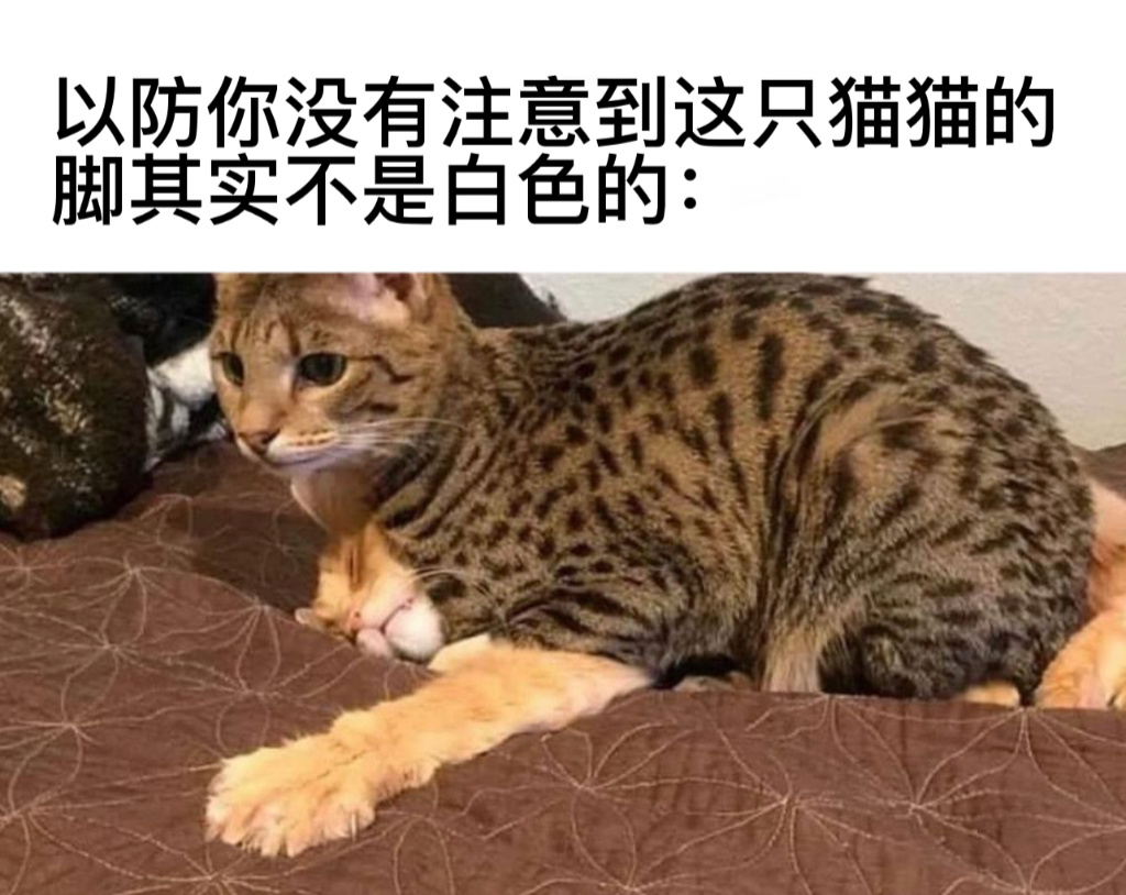 还真是#今日memes# //#龙年造梗大赛# ​​​