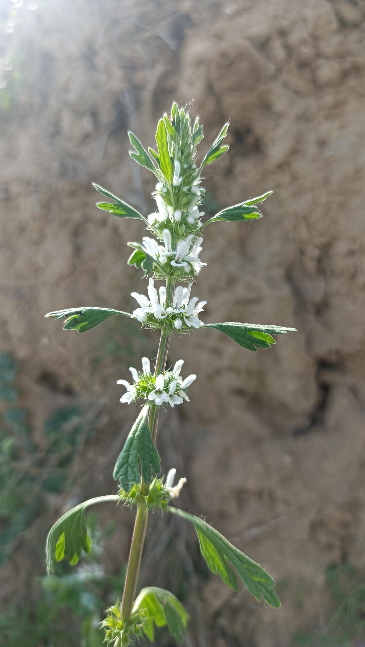 女人这双眼，藏着家里的和气与福气
 
1、女人眼型圆润带笑，旺夫家庭和睦
2、女