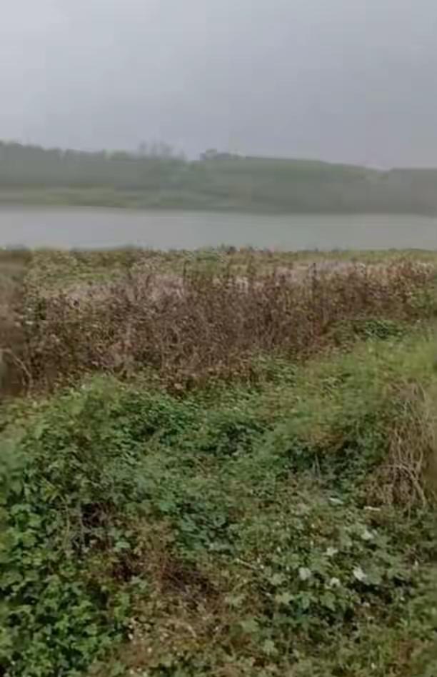 夜钓遭枪击昏迷20天！家属怒怼：枪击案咋还调解？拿谅解书才给救命钱？
 
“人还