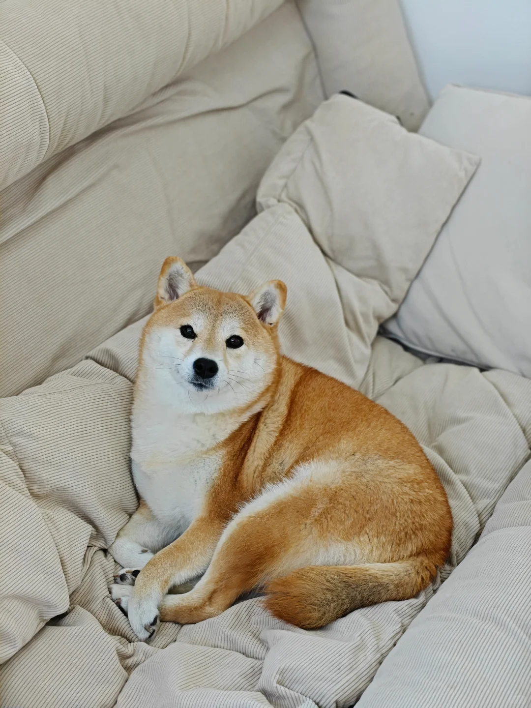 左滑打个哈欠🥱