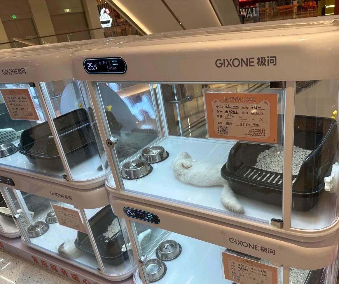 【#广东一商场内店家猫柜被指虐猫#】#商场回应一店家猫柜被指虐猫#近日，有网友在