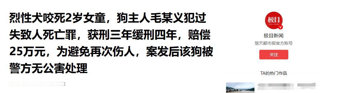 河南烈性犬咬死2岁女童，狗主人毛某义到底错在哪，为啥判决让人寒心？

涉事的狗不
