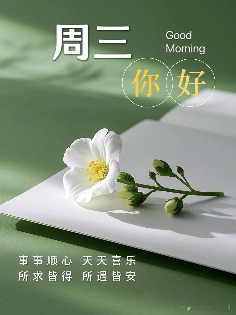 ²⁰²⁶/₀₄.₂₉ 周三｜一键复制发⭕，让心像伞，撑得开，收得起，自在随心🍒