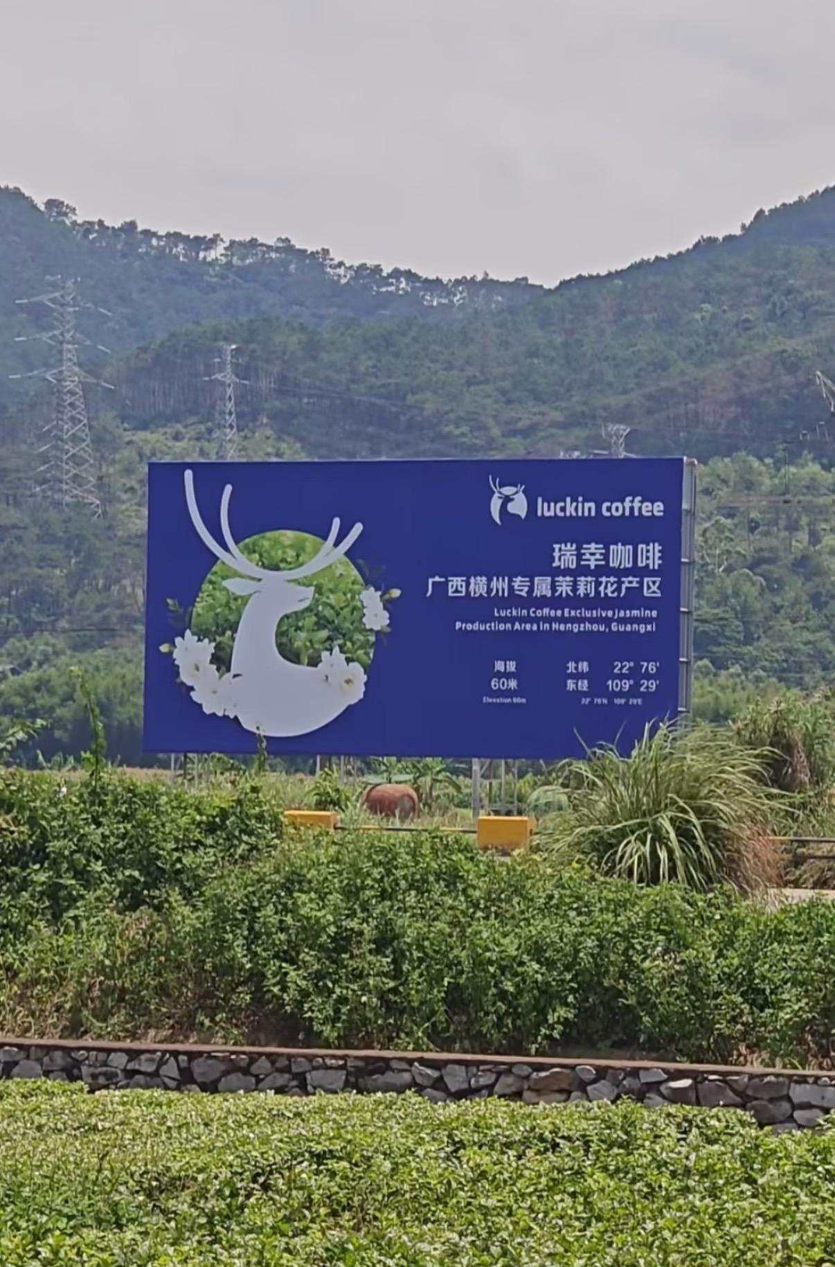 遭遇洪水的广西横州出产全国80%的茉莉花

横州茉莉花是广西壮族自治区横州市特产