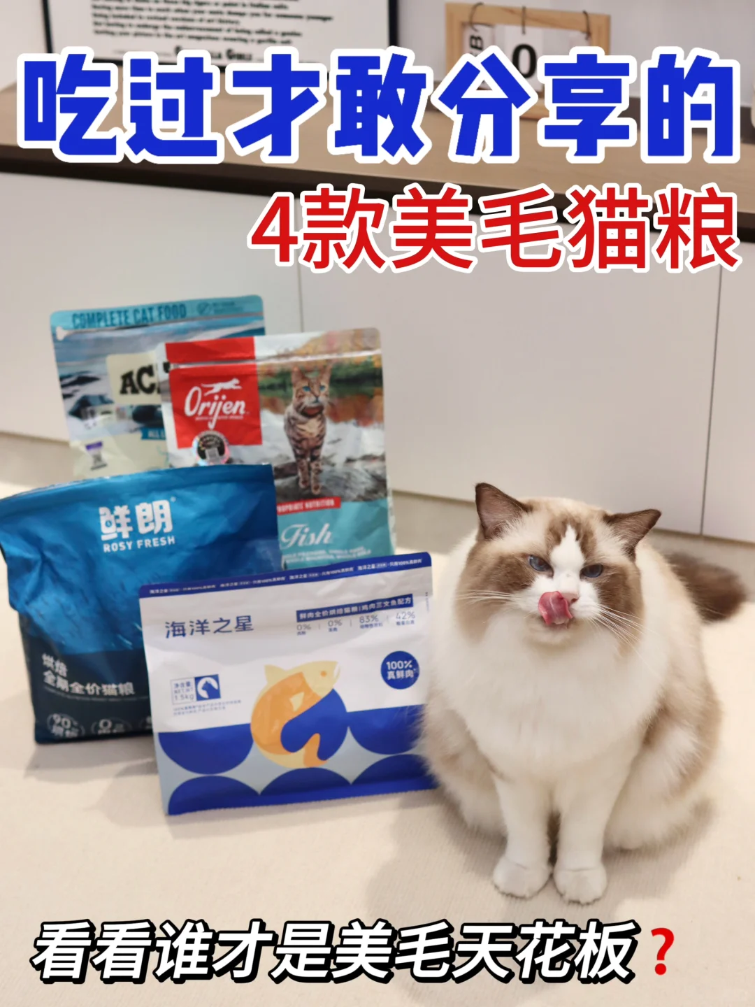 吃过才敢分享 ►4款美毛猫粮真实测评来啦~