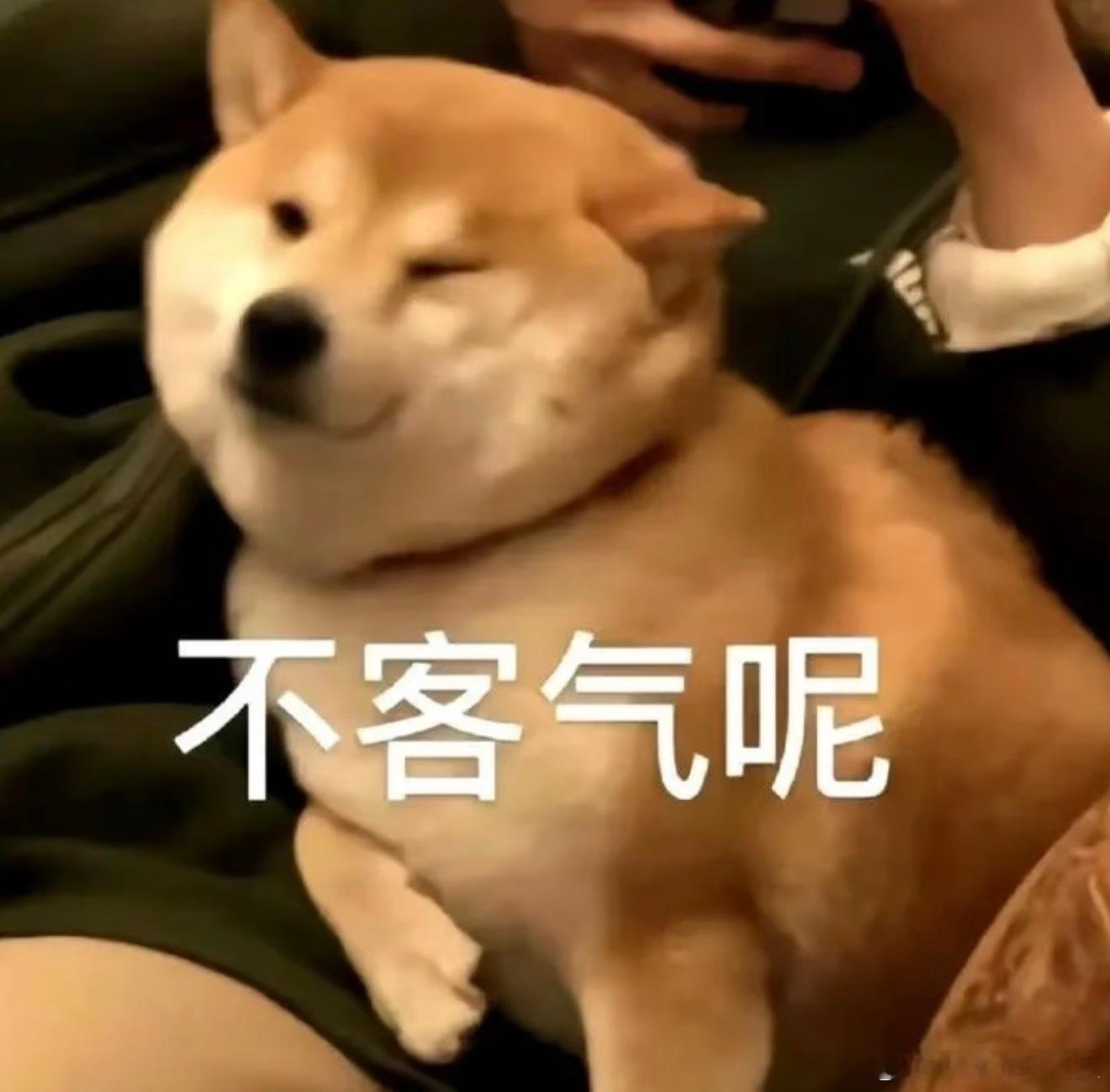 托了点关系，让大家8小时后都有班上。都有学上。不用谢