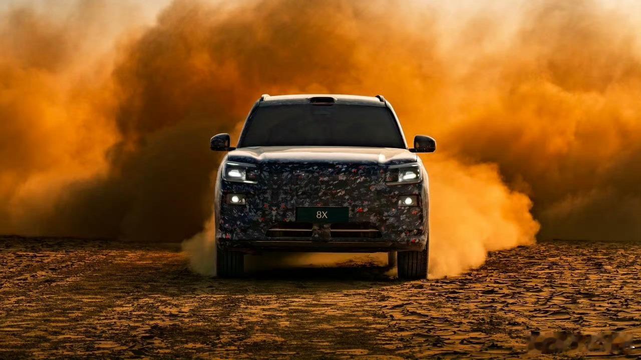 叫「极氪9S」还是现在的「极氪8X」又有什么关系呢。现在还有哪个车企，但凡有个「