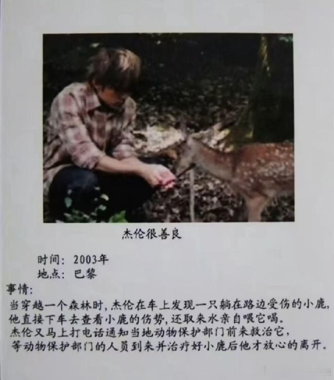 周杰伦不仅认养还救助了长劲鹿周杰伦不仅认养还救助了长劲鹿！周杰伦从救助到认养长劲