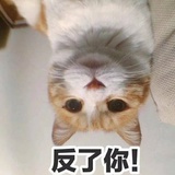 椰奶皮热玩科技