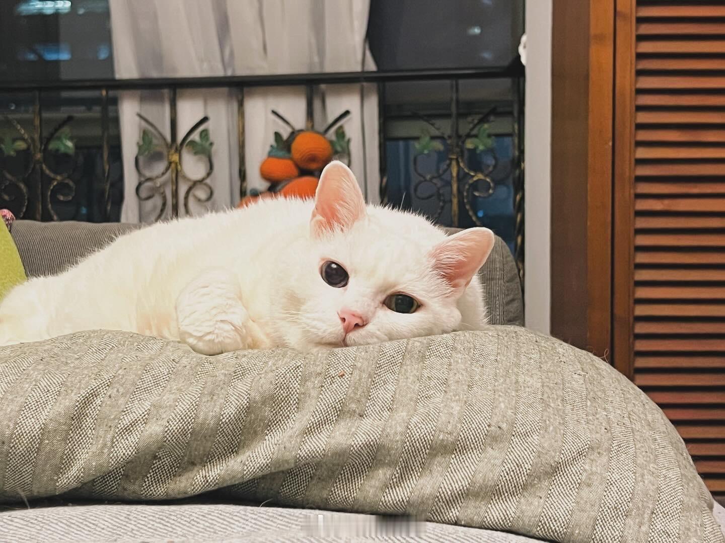 表拍！快來摸偶～ ​​​