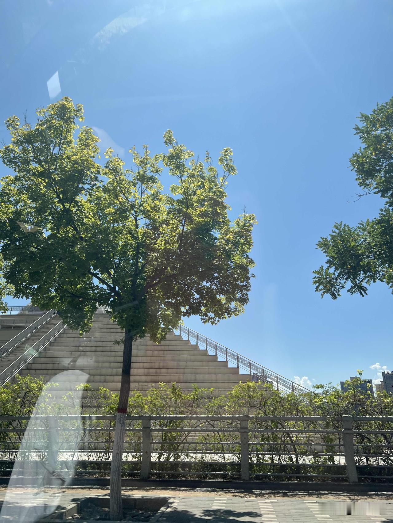 汽车行驶在兰州的北滨河西路上，美丽的风景一直向后快速移动，突然发现我距离兰州湿地