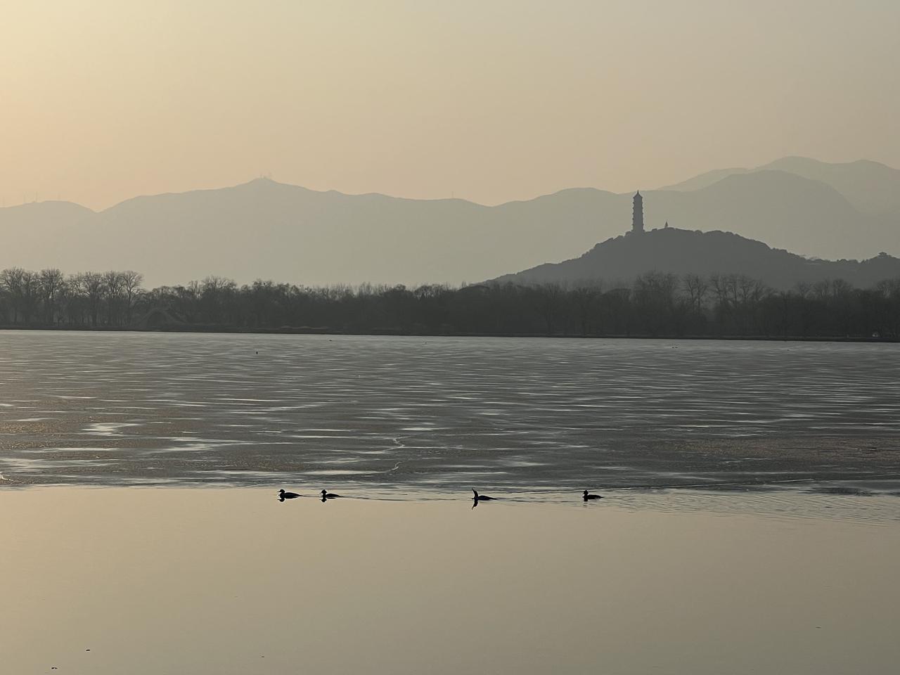 慈禧没有国的概念，靠搜刮民脂民膏过着奢华的生活，最终丢了国、丢了家，身后还被掘坟