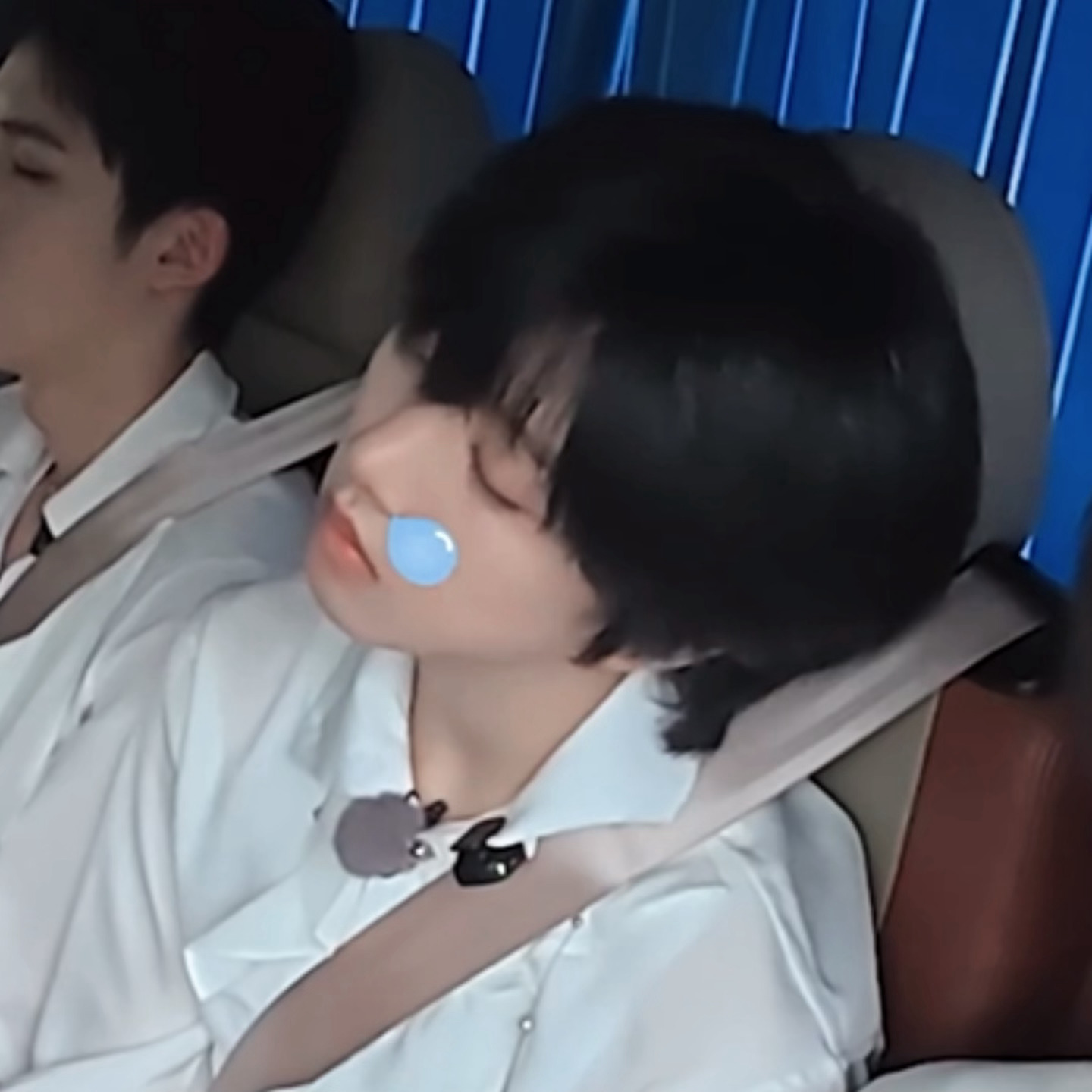 呼噜小猫💤 