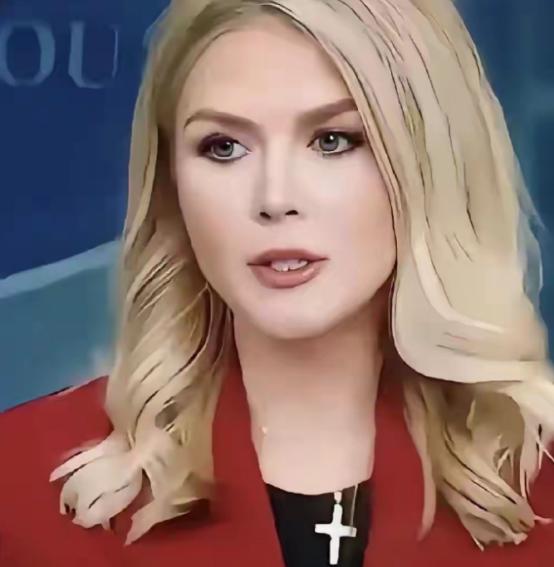 美智库放话：让日本做好“打响第一枪”的准备！
 
白宫发言人卡洛琳·莱维特最近发