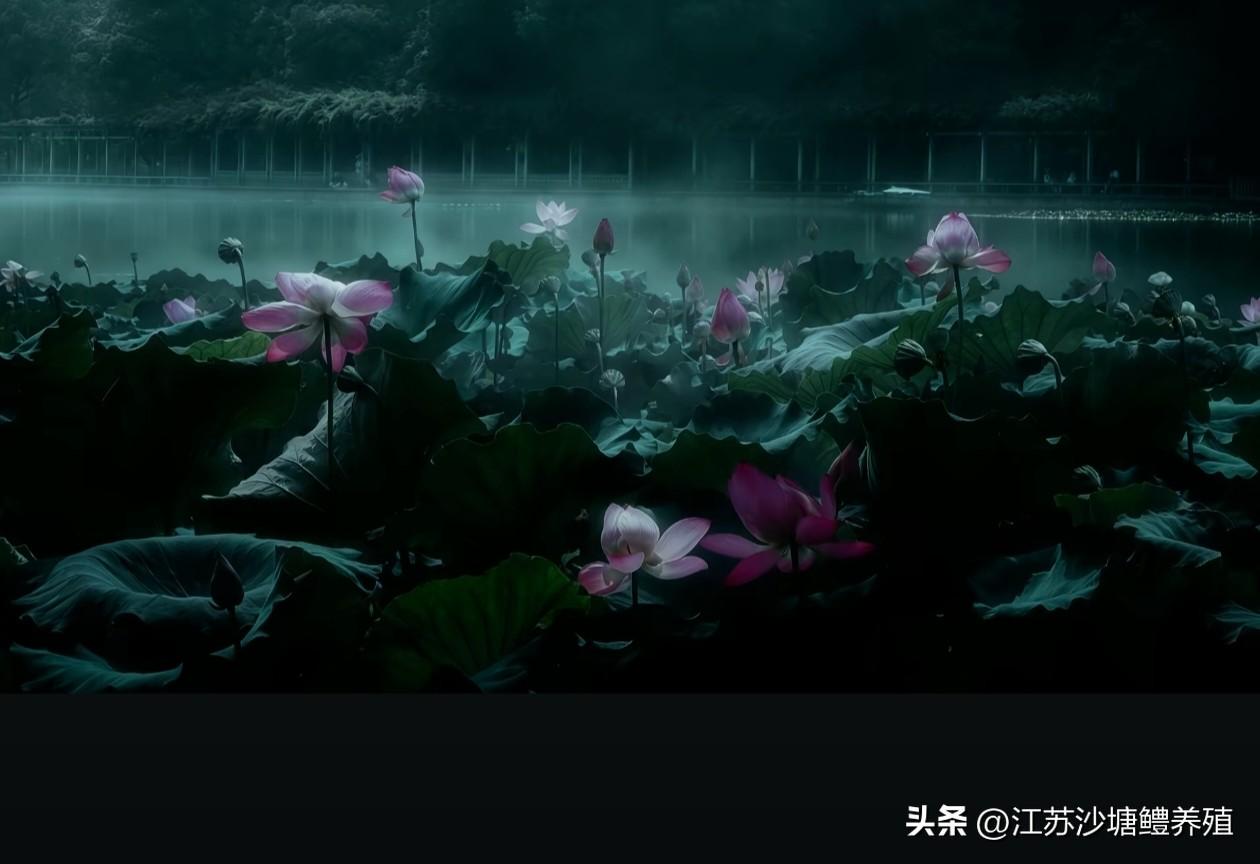 不须计较苦心，
万事原来有命。
幸遇三杯酒好，
况逢一朵花新。
片时欢笑相亲。