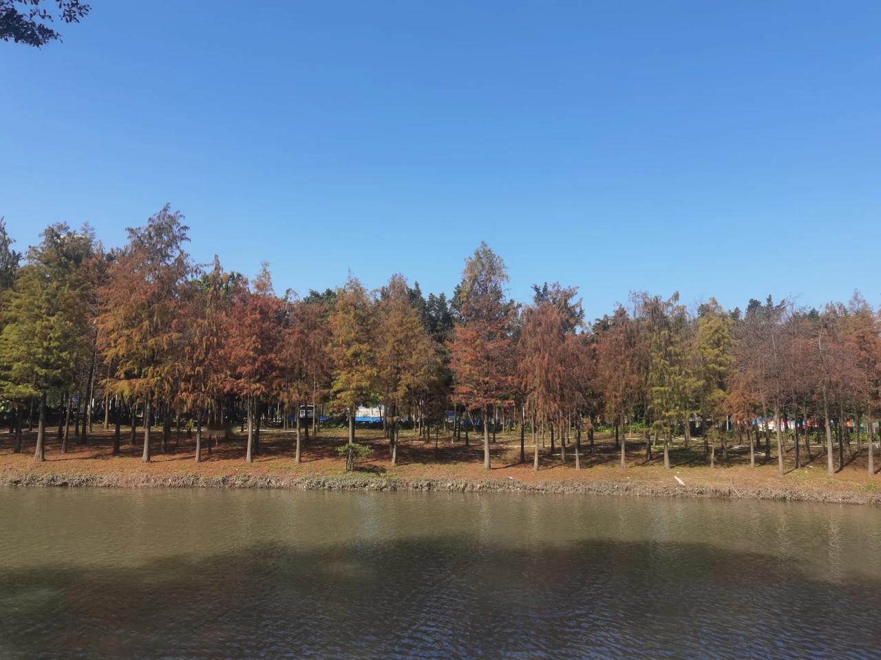 祝愿轻轻松松过个年，不为俗事缠身，不为俗务所恼，不过度吃喝，不过度应酬，多晒晒太