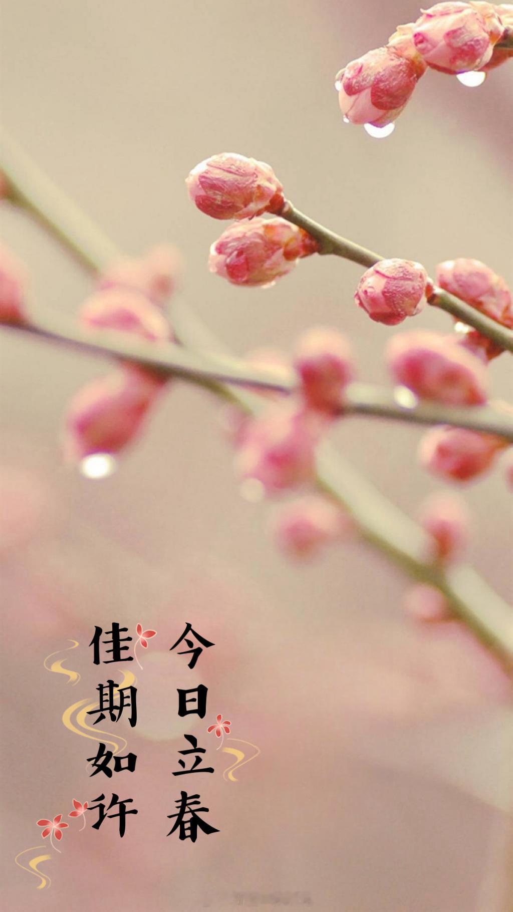 #立春##立春恰逢腊月二十五#今日立春，佳期如许 ​​​