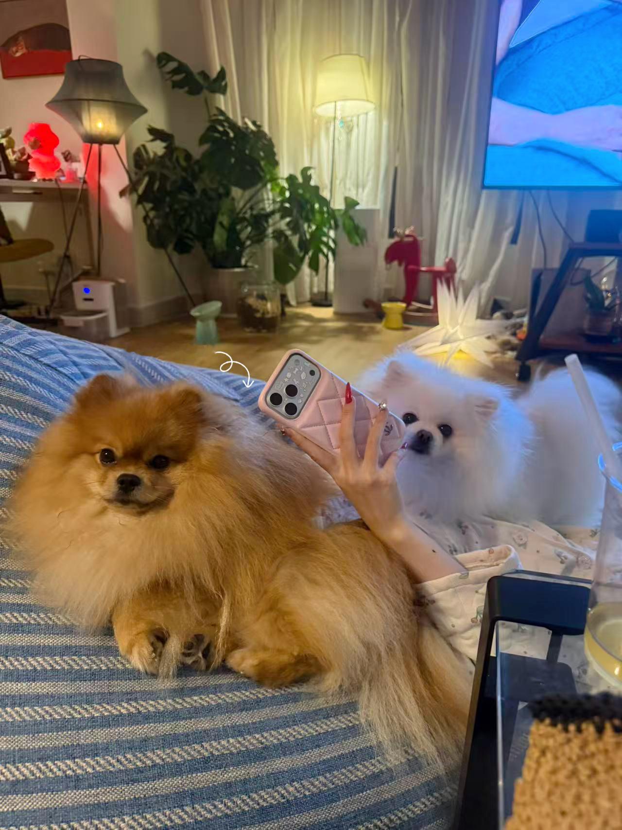 终于知道发日常了行行不行！！以后我尽量一周一更！日常碎片plogplog