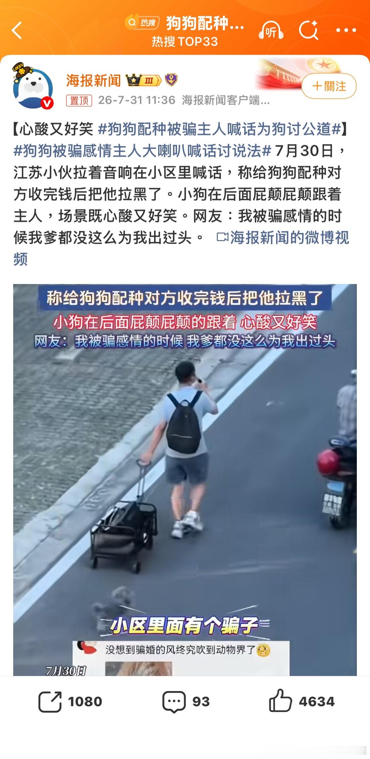 哈哈哈哈，太好笑了狗狗配种被骗主人喊话为狗讨公道狗狗被骗感情主人大喇叭喊话讨说法