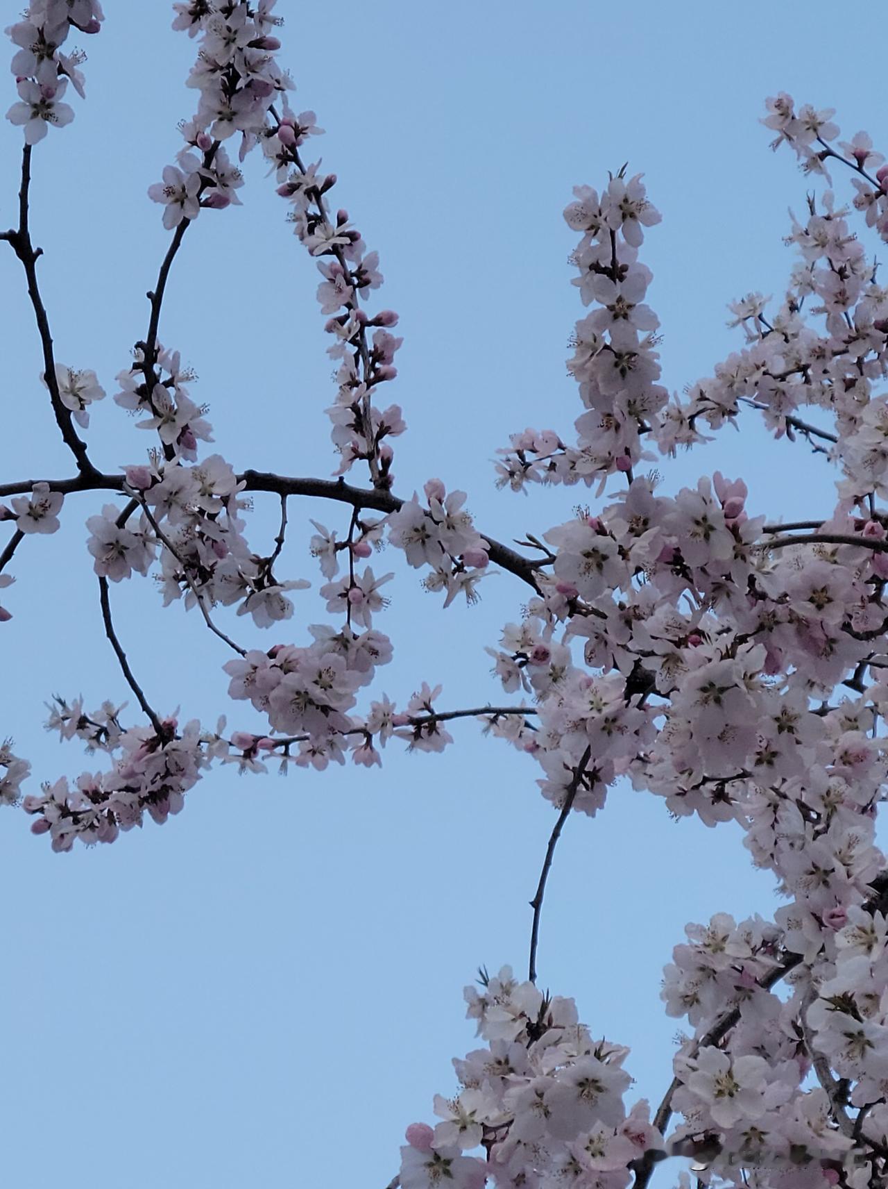 因为儿子明年即将毕业，如今面临投暑假实习简历，我有感而发孩子们如今就业难。有位粉