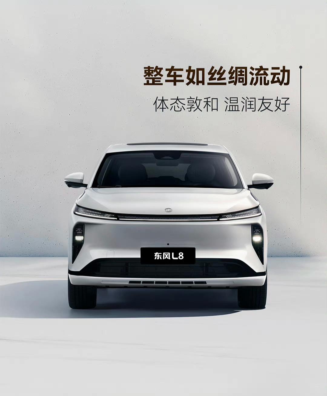 各种L7、L9都有了，怎么能少得了L8呢[可爱] ​​​