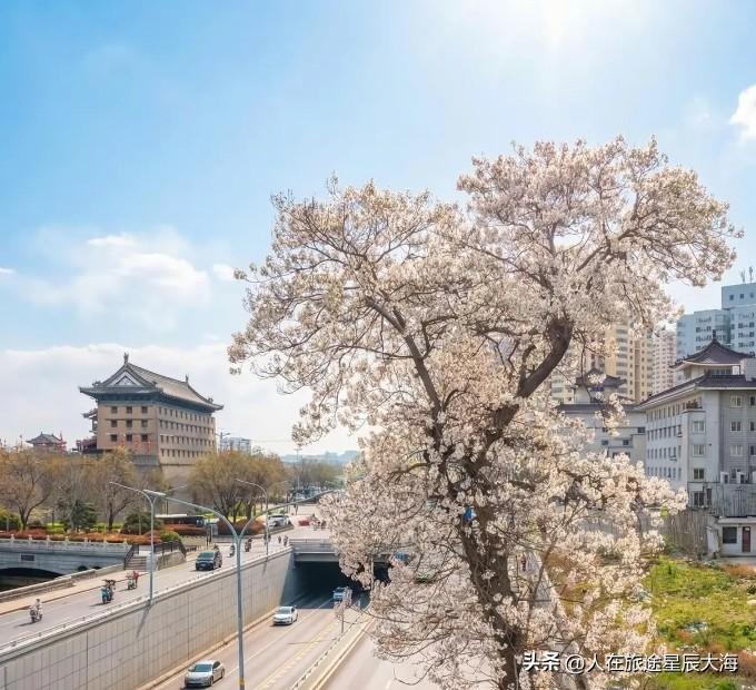 西安又下雨了，气象部门说这是台风“白海豚”前风风力渐入尾声带来的“减缩版”环流影