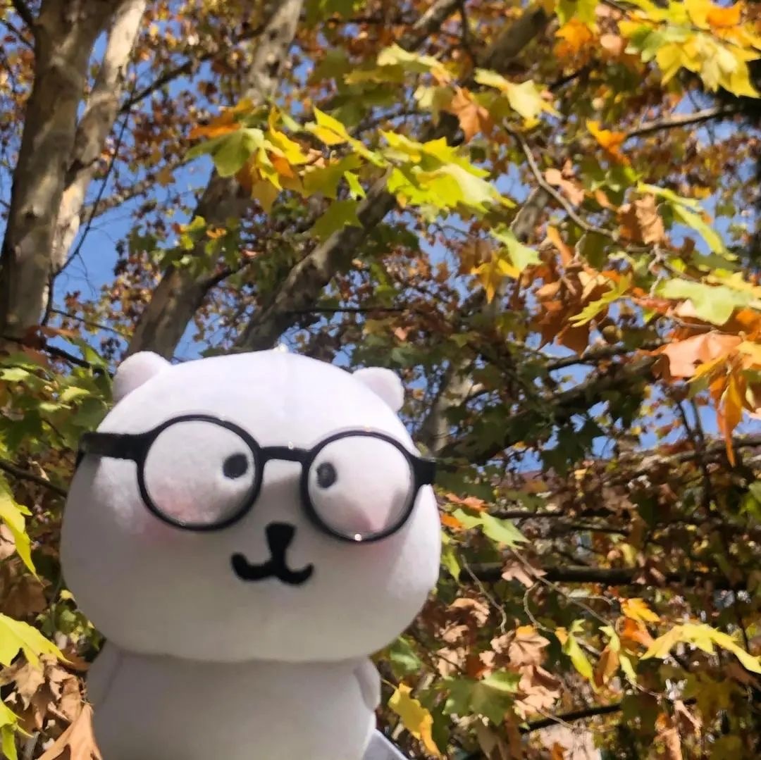 熊的秋🍂#头像[超话]##自嘲熊##可爱头像# ​​​