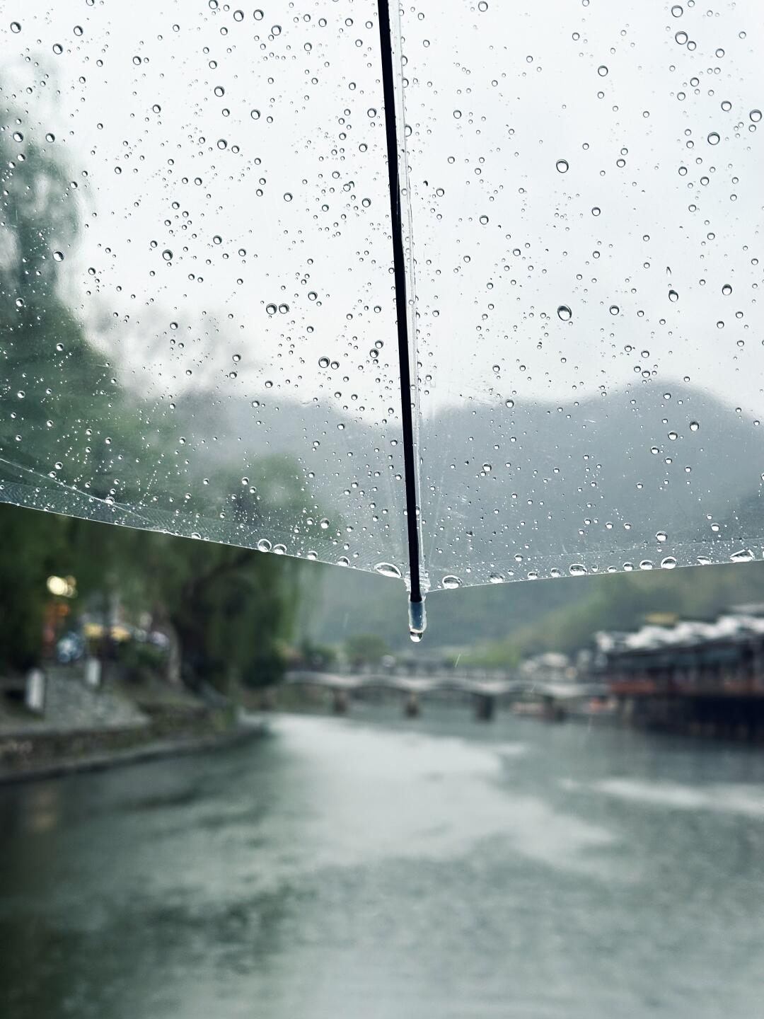 有人困在雨里 有人雨中赏雨☔️
