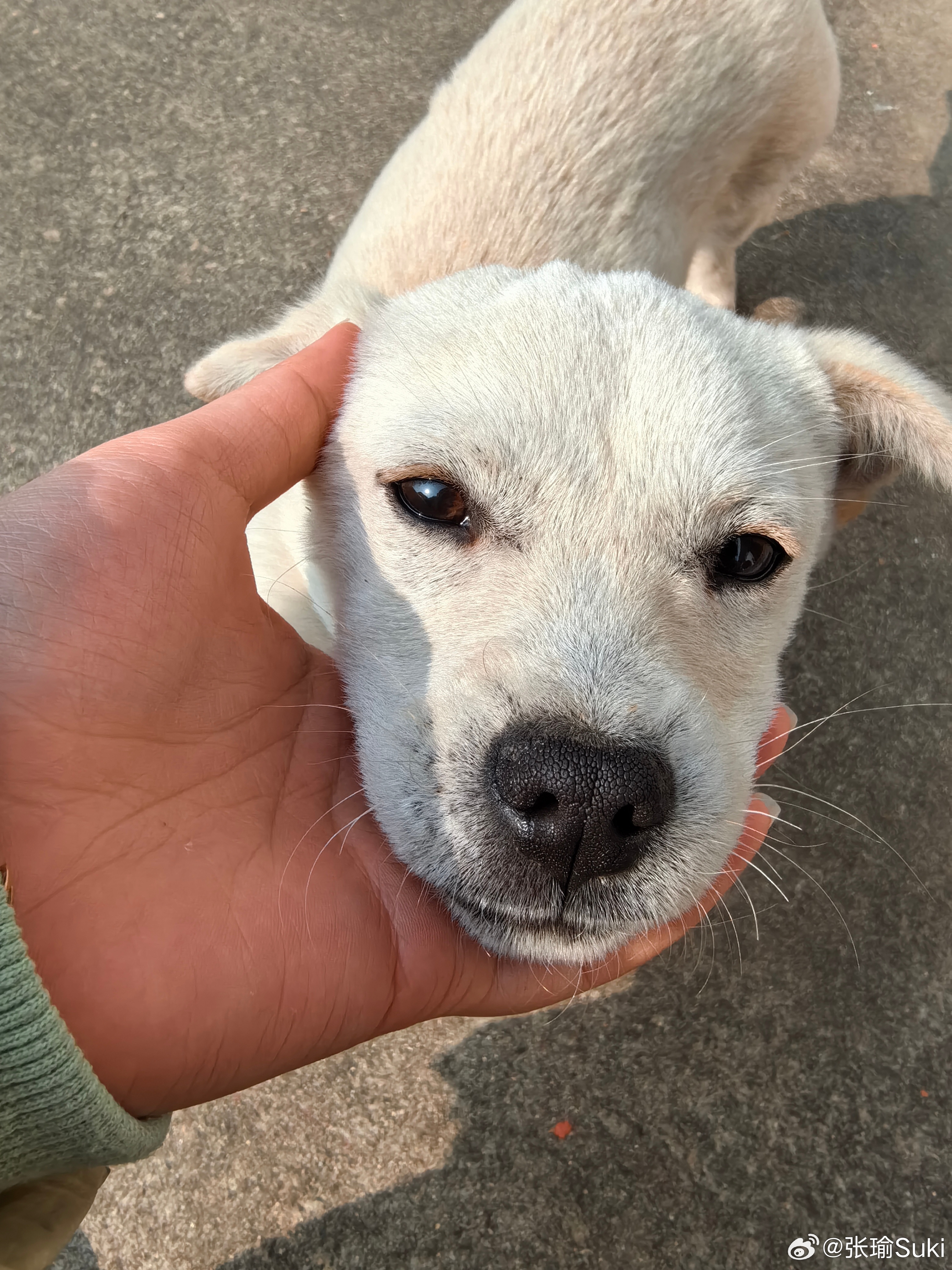 家里吃饭闲聊，老张说“现在政务都规范了，都不是以前纸张的时代了”，老于说“可不是