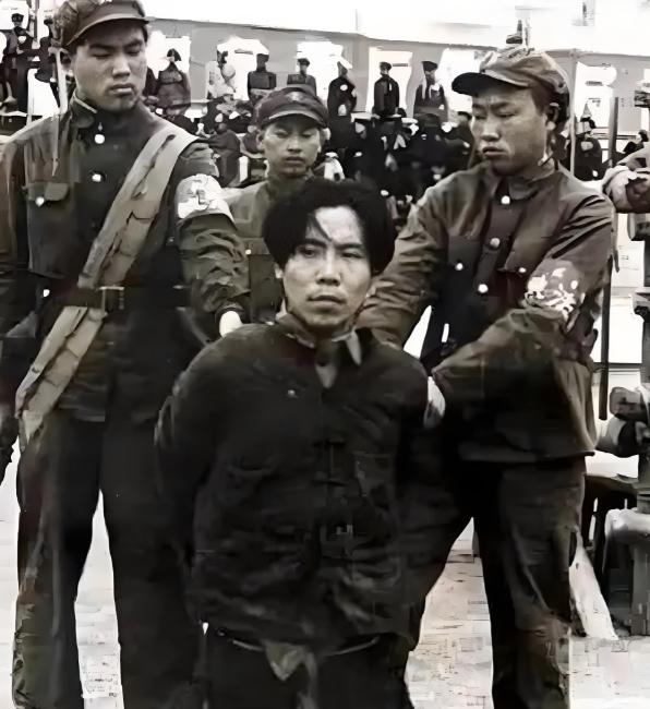 1954年，飞贼段云鹏落网，毛主席得知后，忍不住调侃道:“他不是飞贼吗？让他飞个