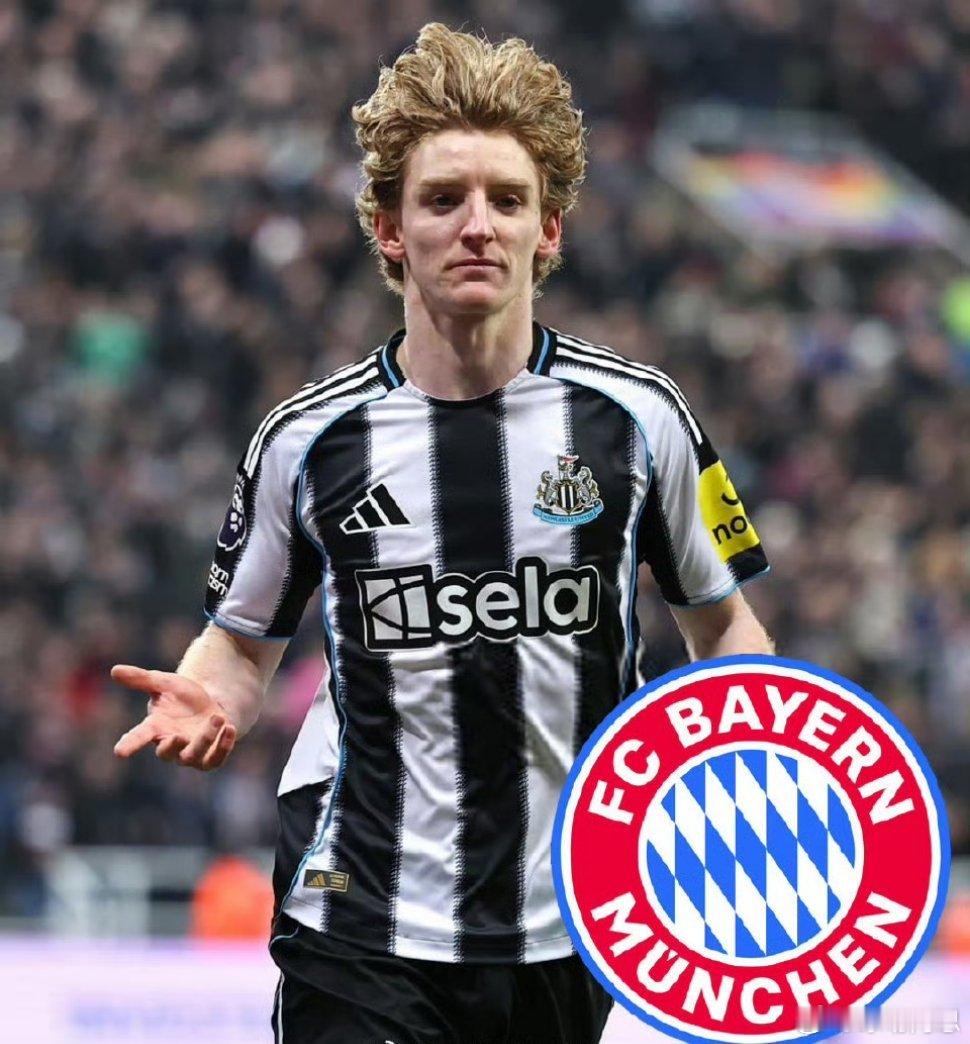 【纽卡斯尔7500万出售戈登】《泰晤士报》独家消息：纽卡斯尔联准备与拜仁展开谈判