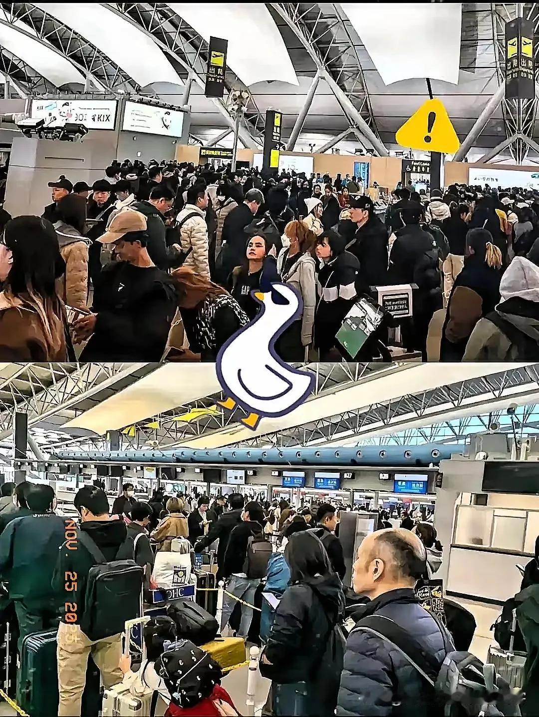 傻眼了吧，赴日旅游这就是不听劝的后果，去的潇洒，想回来可不容易了。航班取消买不到