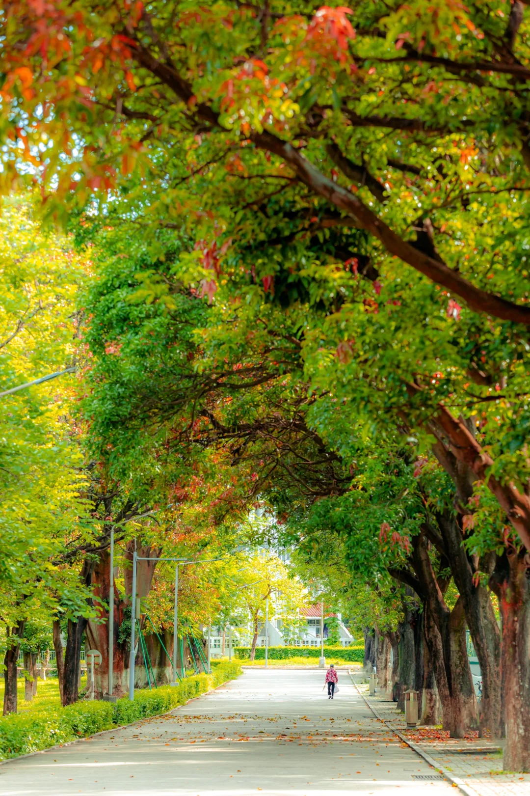 汕头大学究竟是谁在读啊？🤔