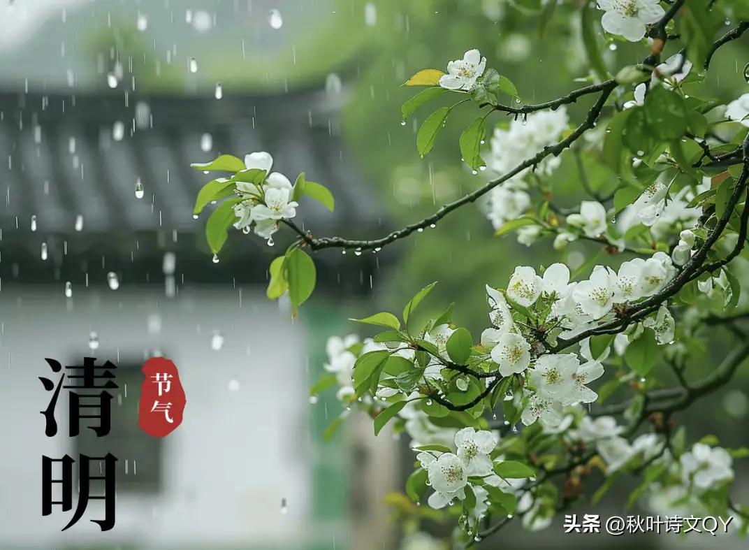 “清明雨”不是天气BUG，是老天爷在帮人间按一次集体存档键——网友的神回复，把我