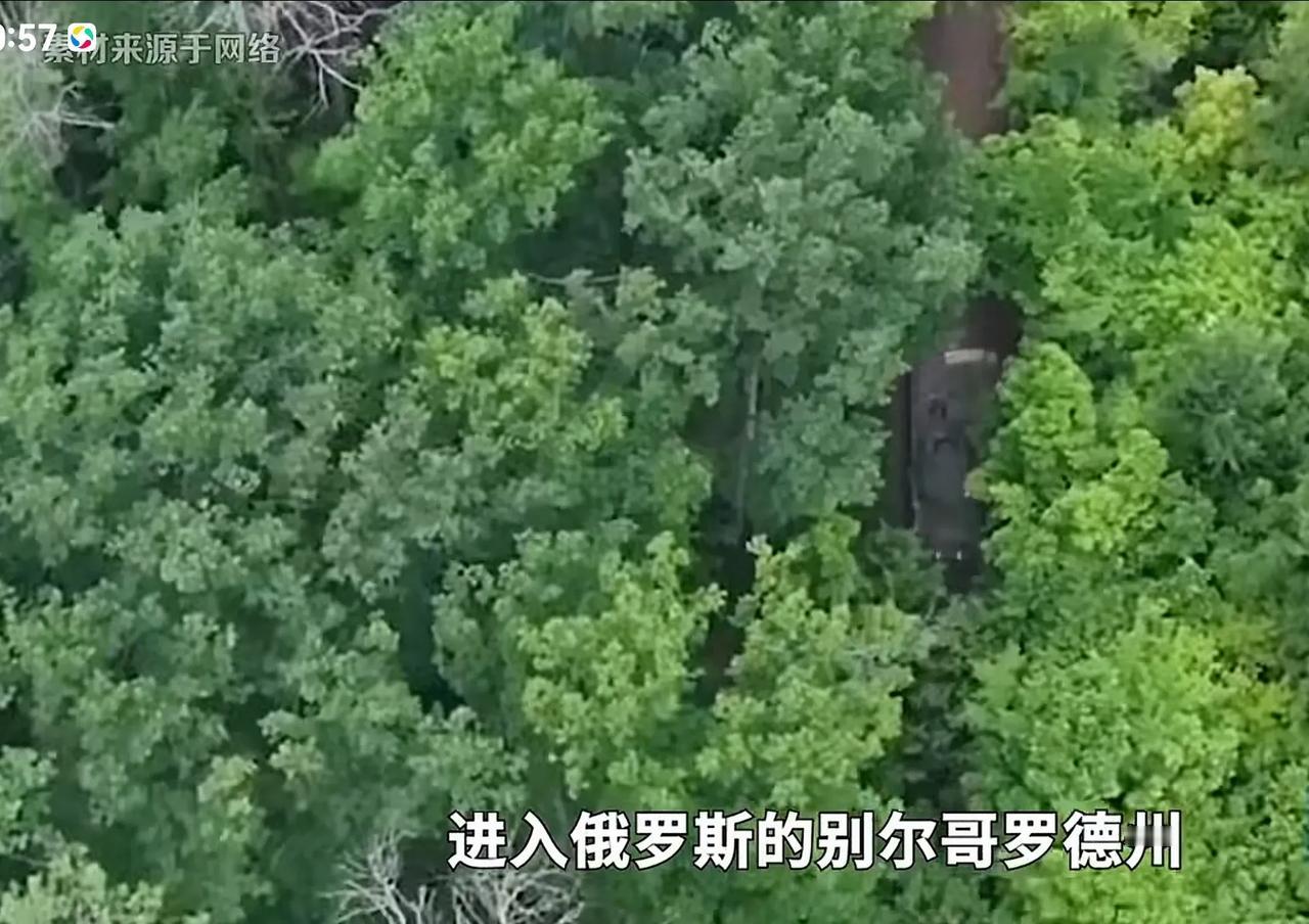 【听吕宁思分析】
今天看了吕宁思分析，有点豁然开朗，看来邱震海差距越来越大。
吕