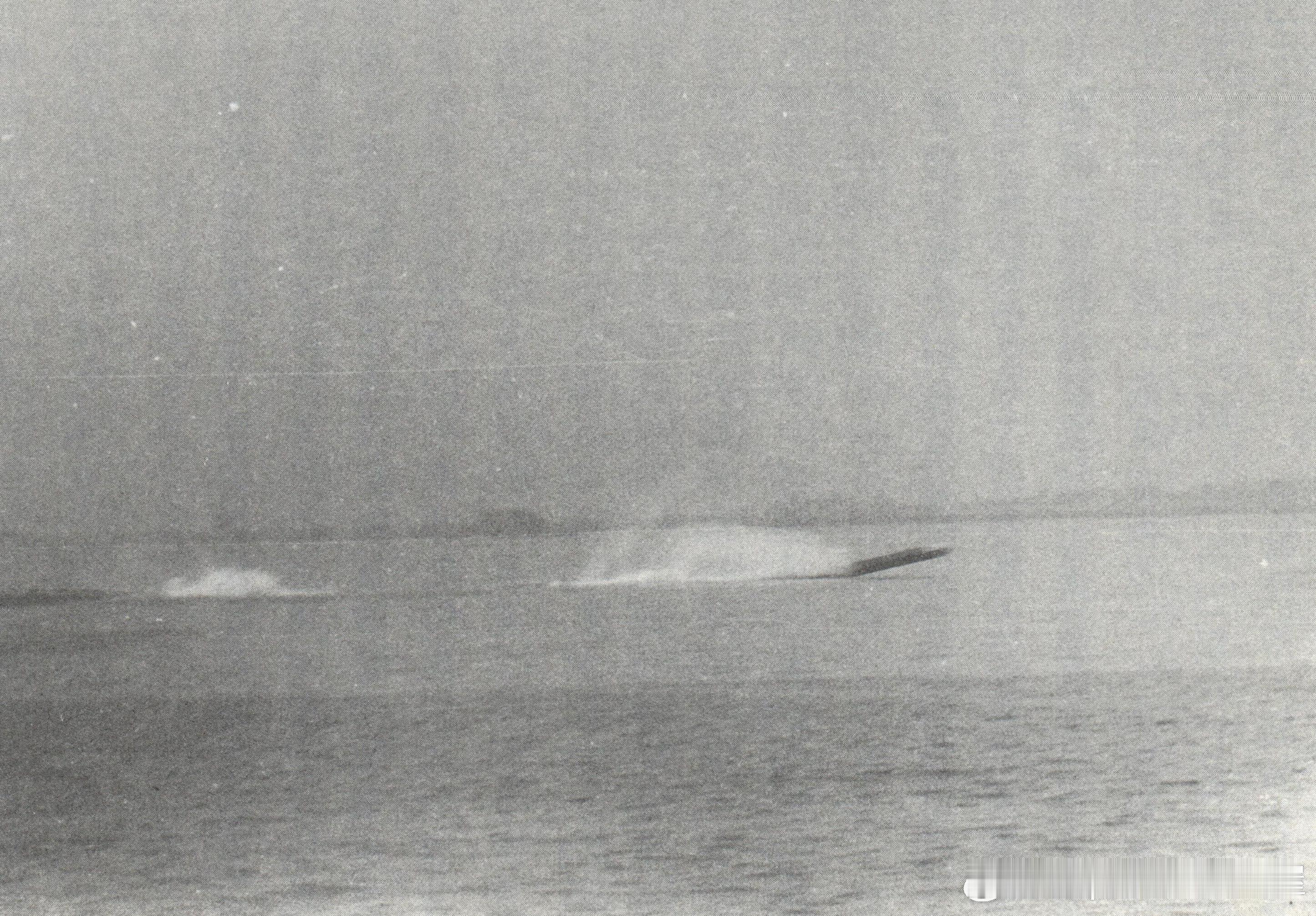 1974年12月3日台湾海军海狮号潜艇在左营北港试射哑雷军事历史全触达