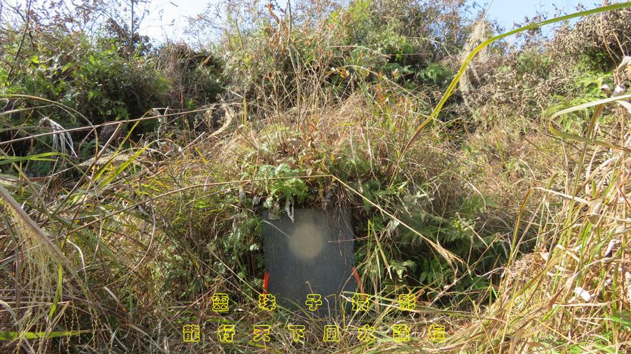 山东临沂，一女子通过老家门口的监控，看到父亲坟前那把椅子被风吹倒在地。她身在外地