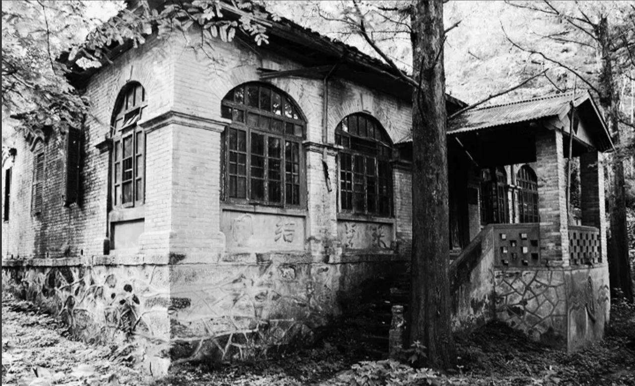 1950年，土匪头子孙世良乘小船潜入上海，刚踏上隐蔽海滩，却与巡逻的边防战士撞了