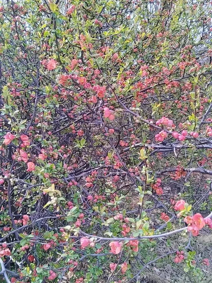 分享一张你最新拍的照片