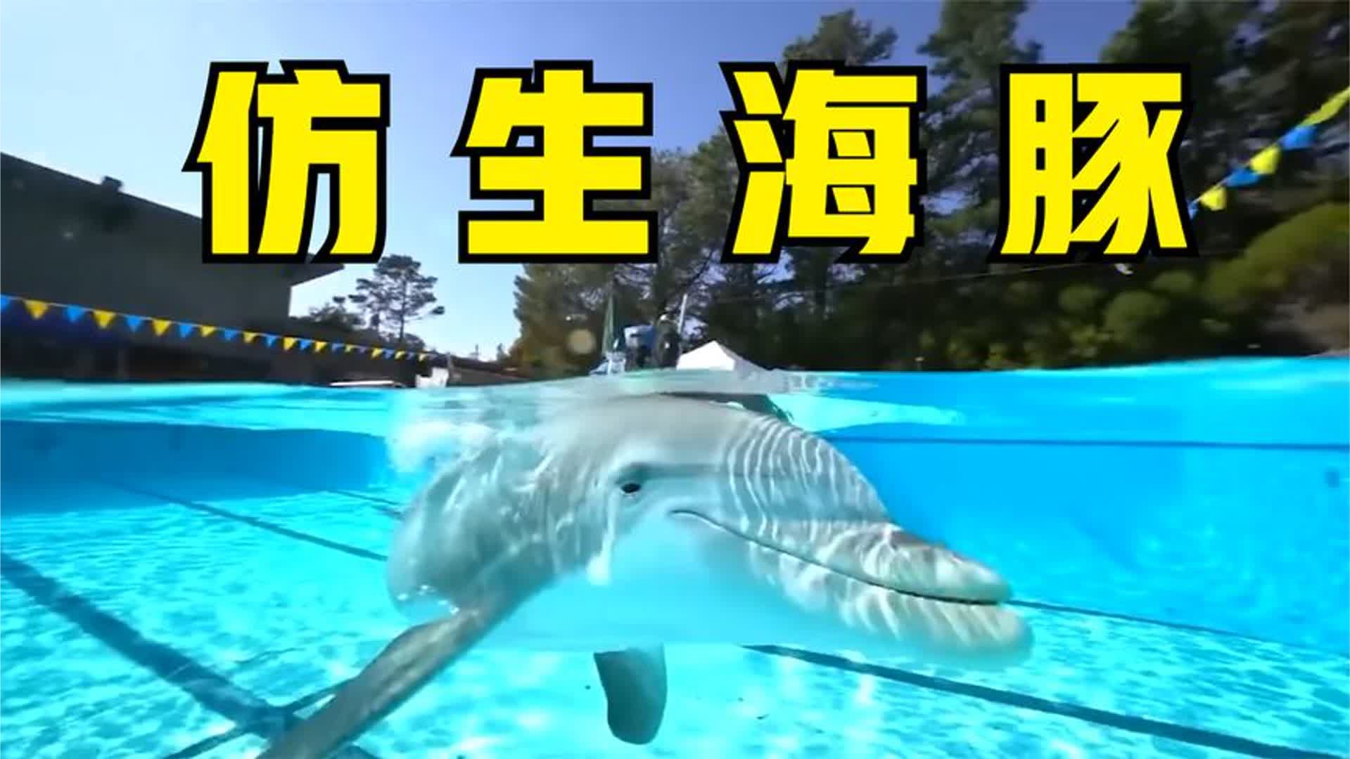 7种逼真的仿生机器人，仿真海豚代替海豚表演，海豚也有替身