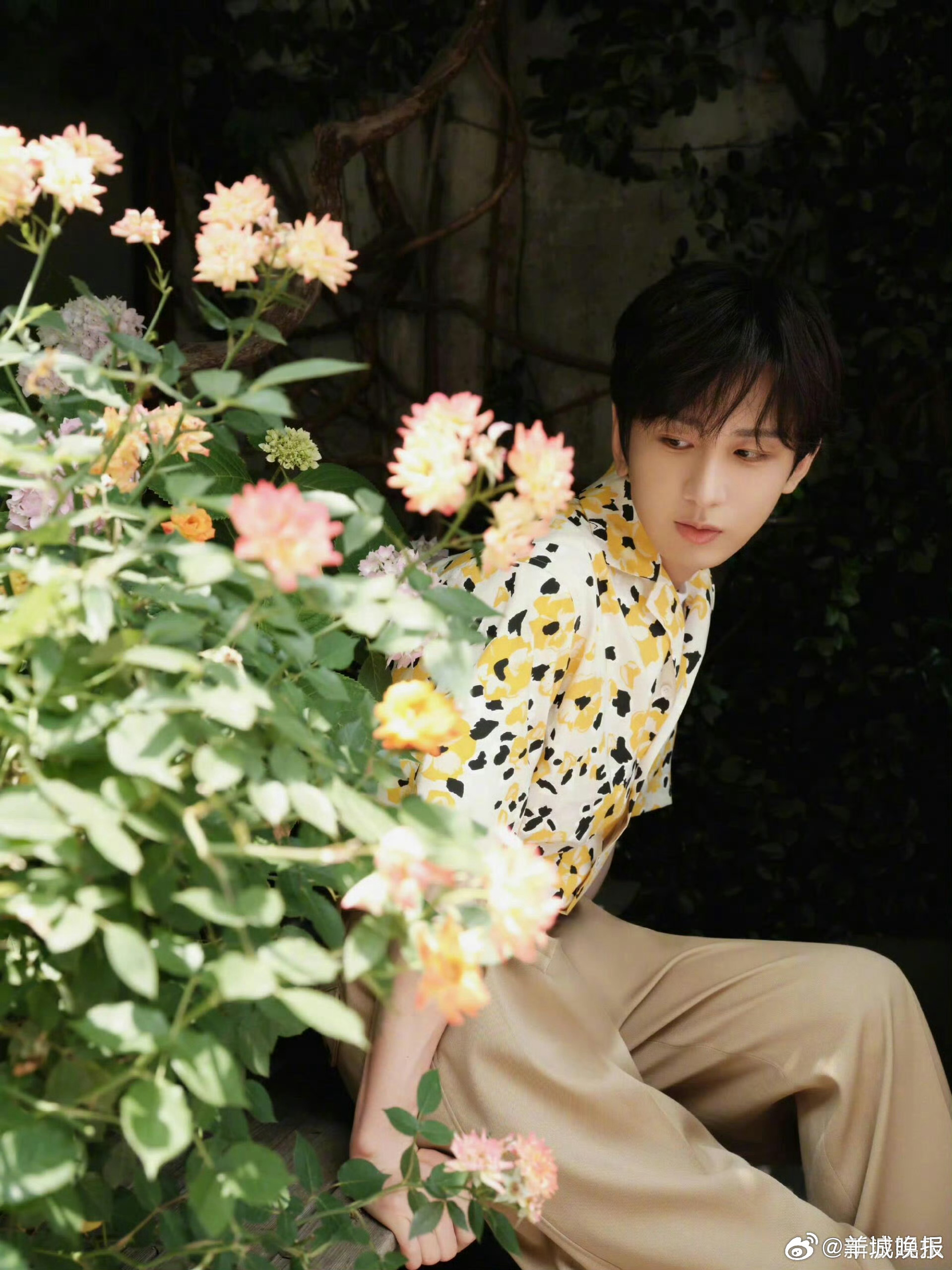 【分享男明星春日拍照模板】或是在花草林间捕捉随性自在的瞬间，举手投足间尽显干净治